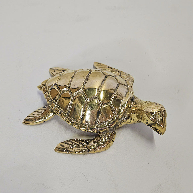 Schildpad brons