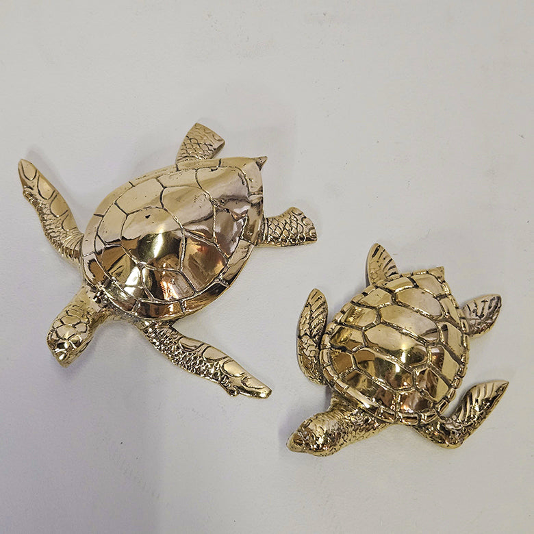 Schildpad brons