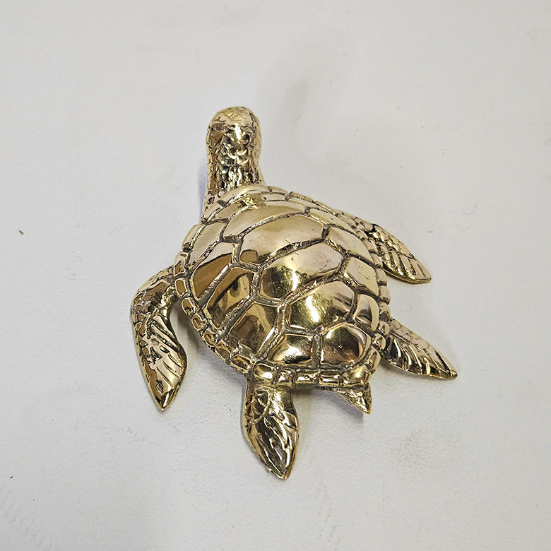 Schildpad brons