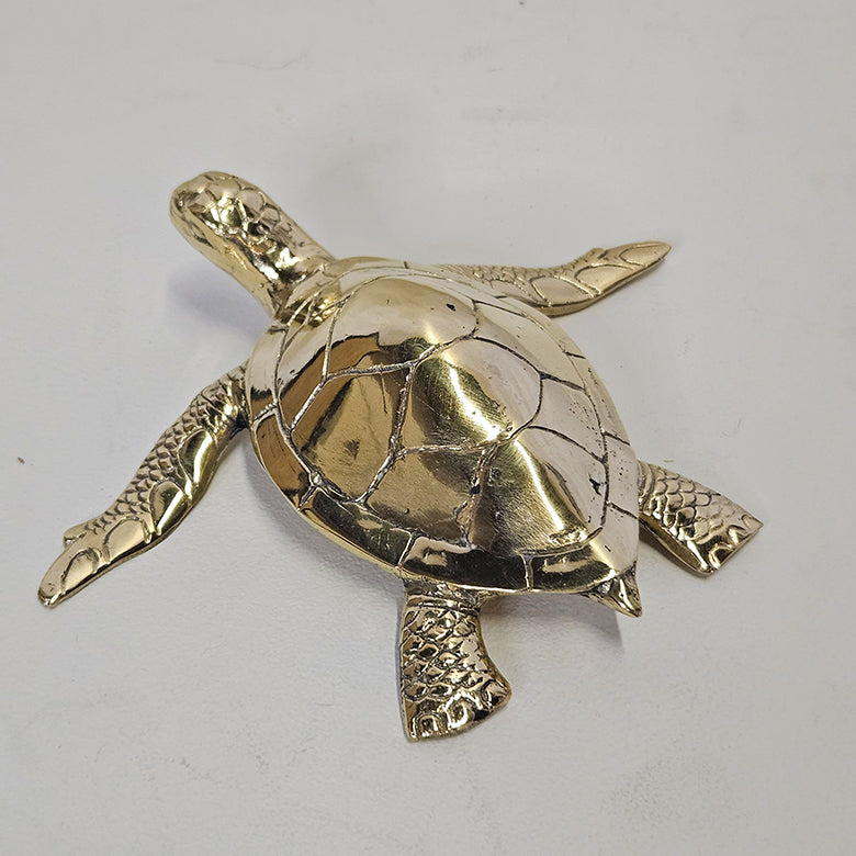 Schildpad brons