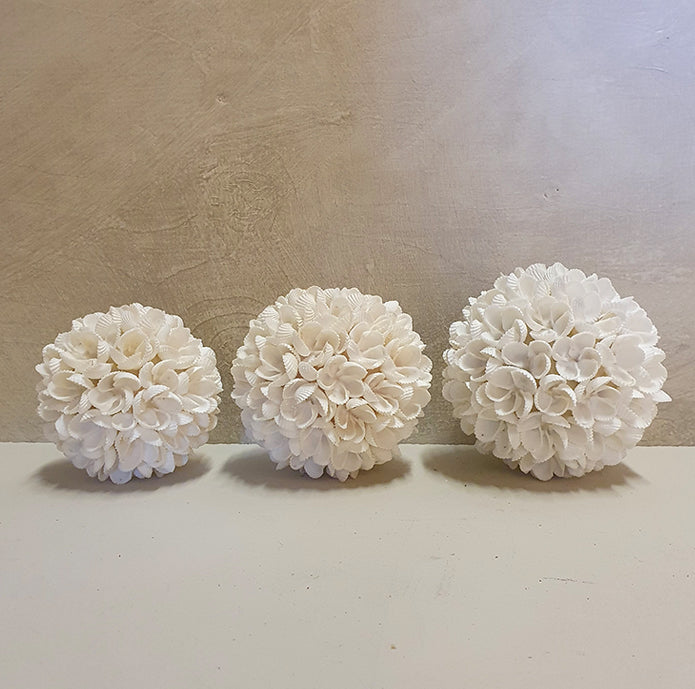 Decoratieve ballen schelp 'Roses'